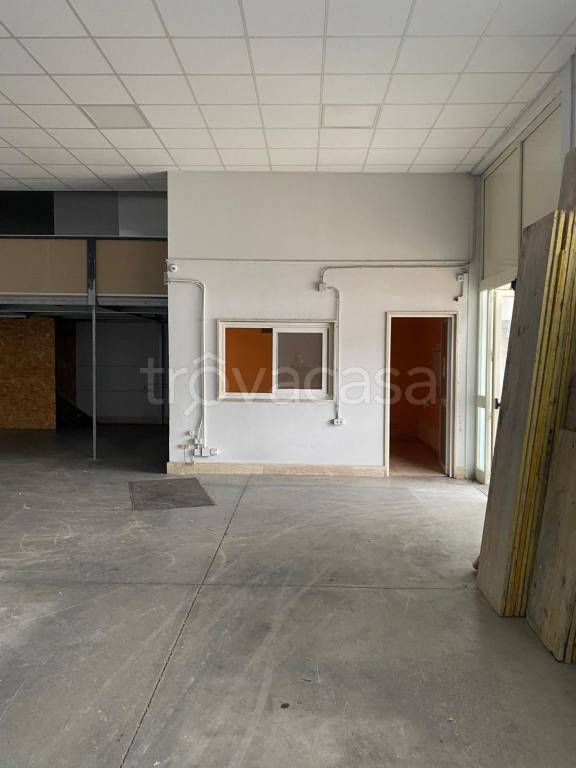 immagine annuncio 5 di 11