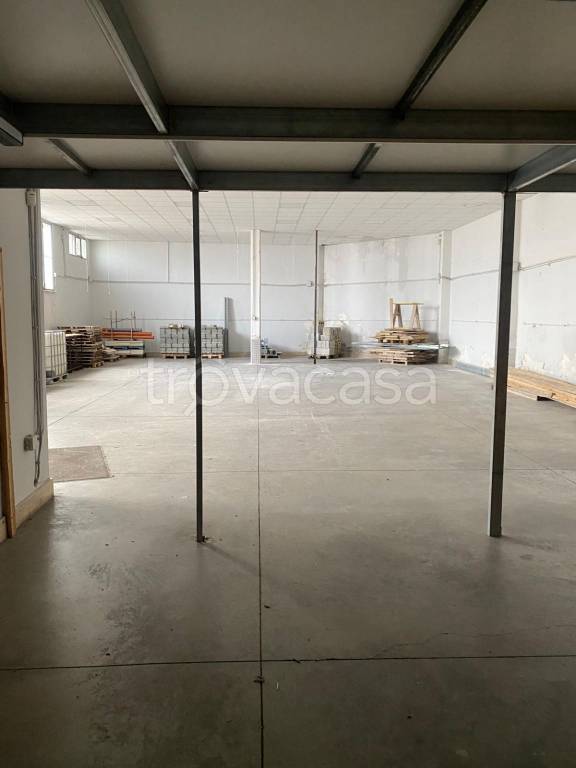 immagine annuncio 8 di 11