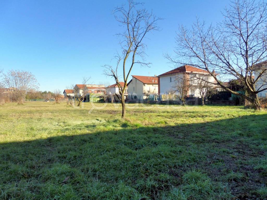 immagine annuncio 2 di 11