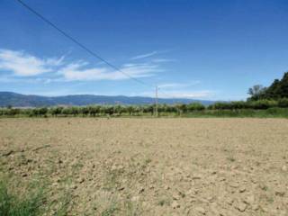 Terreno agricolo all'asta a lamezia terme località trigna