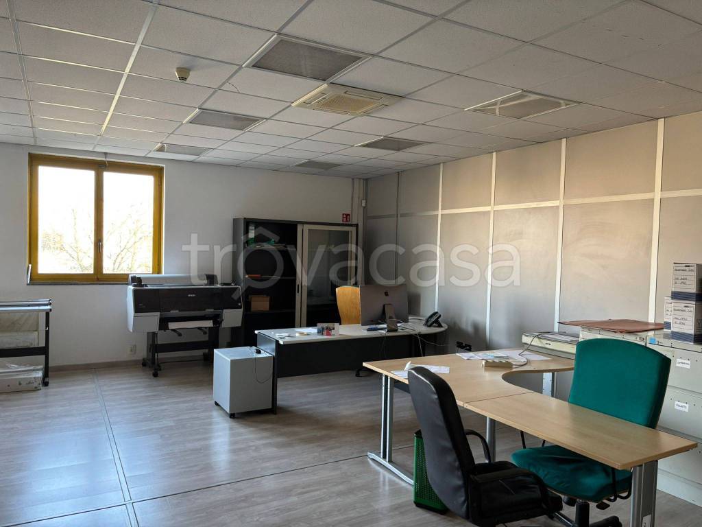 immagine annuncio 11 di 12