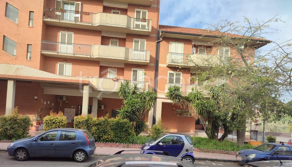 immagine annuncio 13 di 15