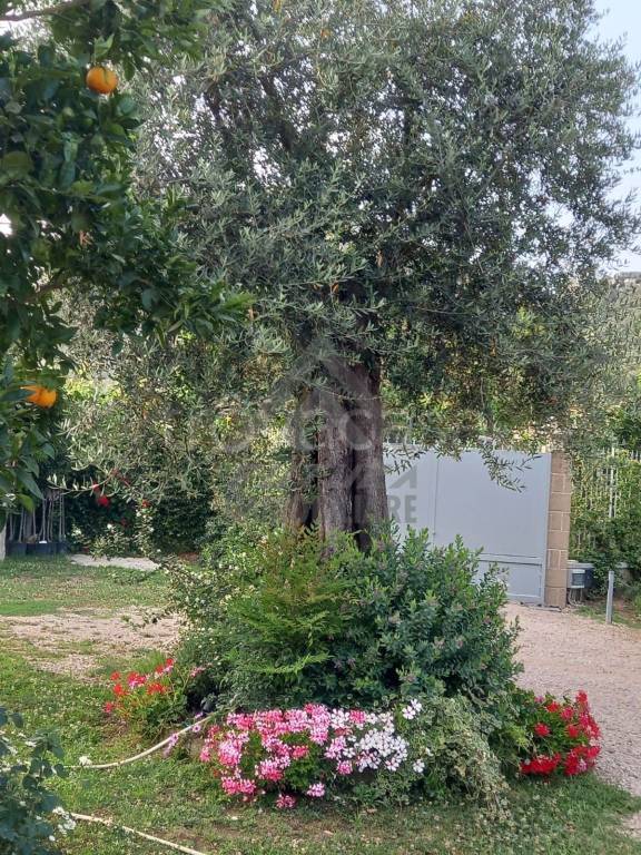 immagine annuncio 9 di 13