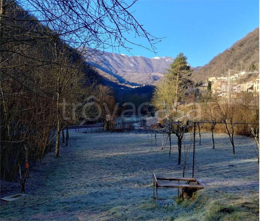 immagine annuncio 11 di 14