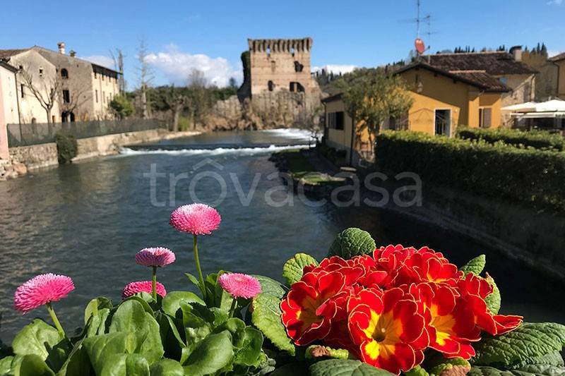 immagine annuncio 1 di 9