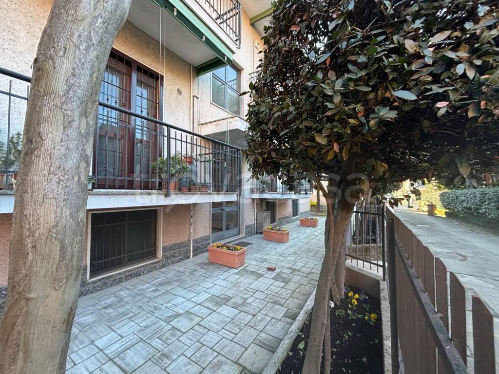 immagine annuncio 14 di 15
