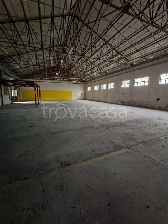 immagine annuncio 2 di 12