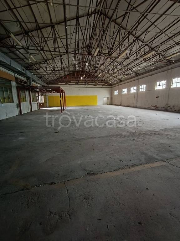 immagine annuncio 3 di 12