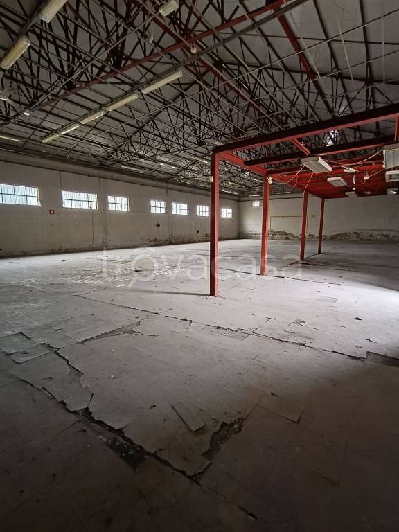 immagine annuncio 4 di 12