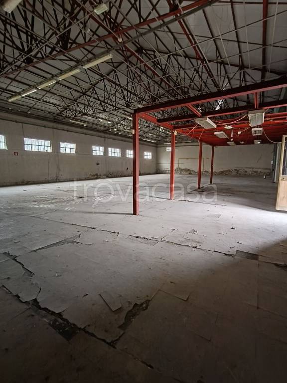 immagine annuncio 5 di 12