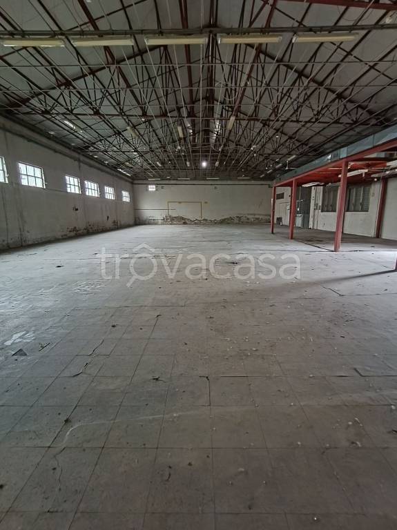 immagine annuncio 6 di 12