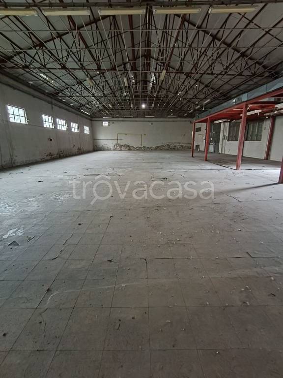 immagine annuncio 7 di 12