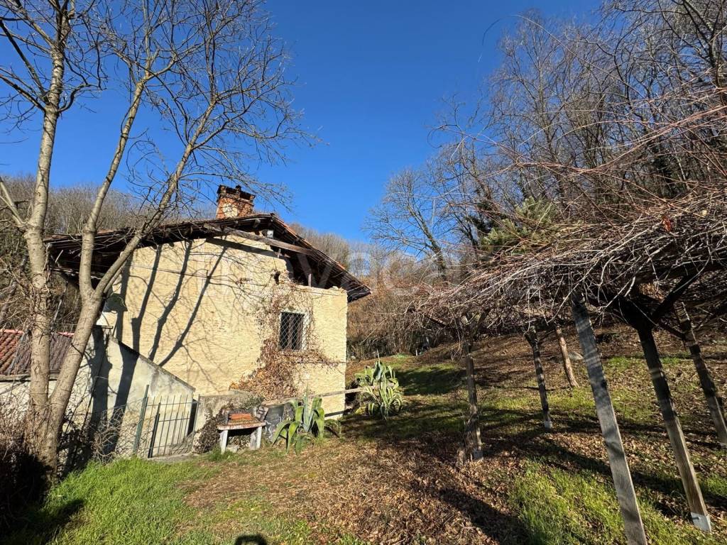 immagine annuncio 4 di 15