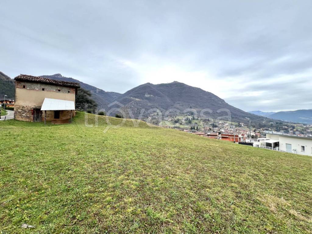immagine annuncio 6 di 11