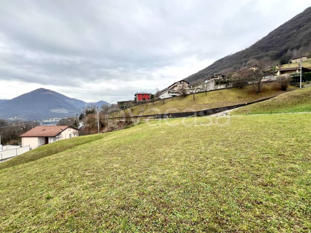 immagine annuncio 10 di 11