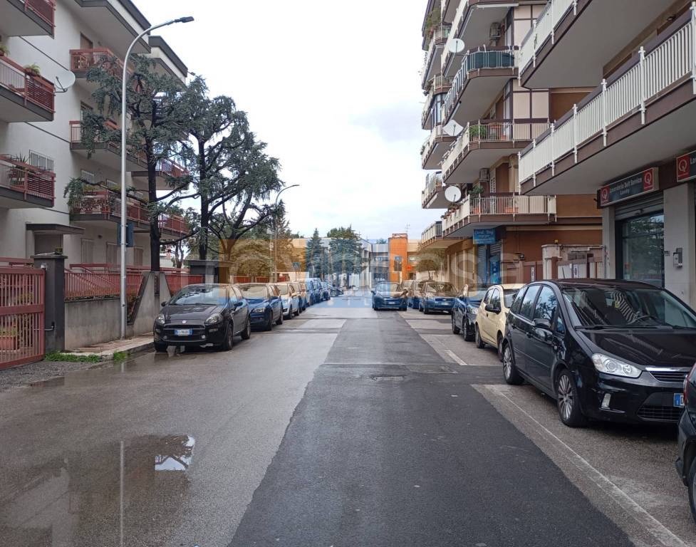 immagine annuncio 3 di 7