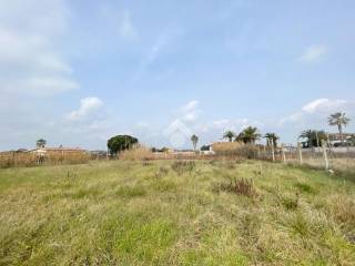 Terreno agricolo in vendita a latina strada macchia grande, 1