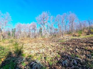 Terreno commerciale in vendita a pistoia via di gremignani, 1