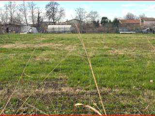 Terreno agricolo all'asta a piazzola sul brenta sp94