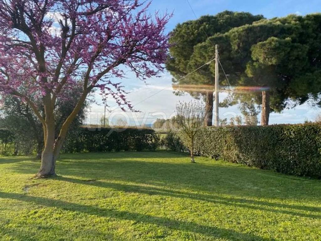 immagine annuncio 6 di 9