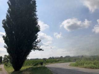 Terreno agricolo all'asta a legnago via marchesa