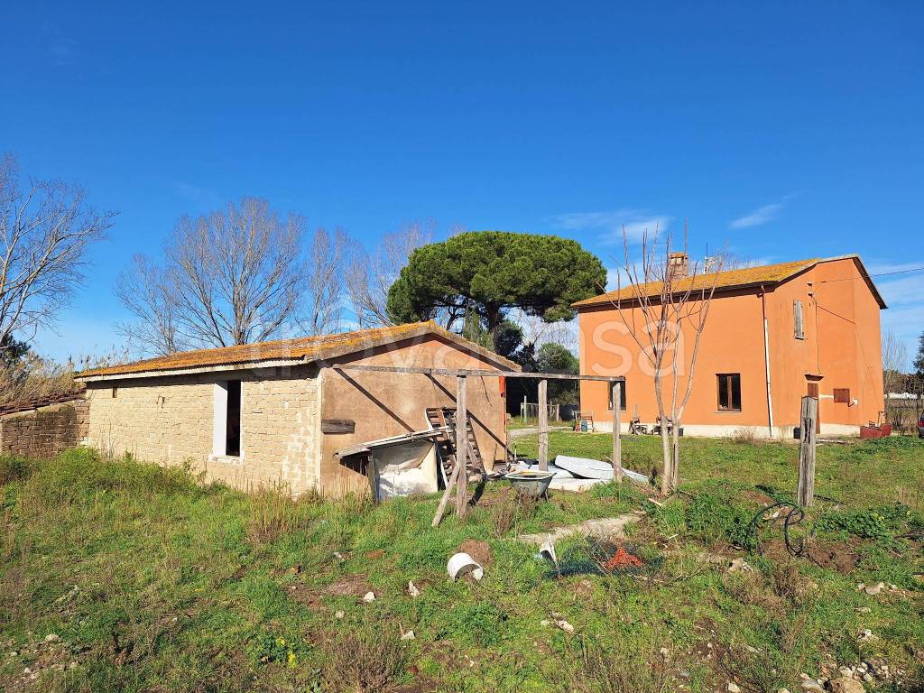 immagine annuncio 6 di 15