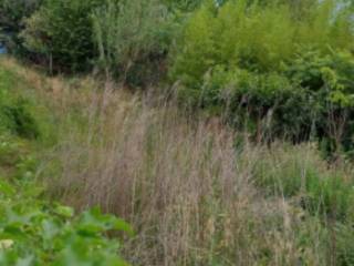 Terreno agricolo all'asta a manoppello via del milite ignoto