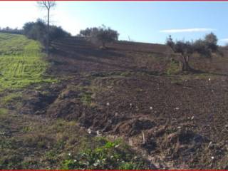 Terreno agricolo all'asta a castiglione messer raimondo piani