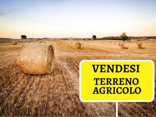 Terreno agricolo in vendita a casorezzo strada vicinale viazzola di levante