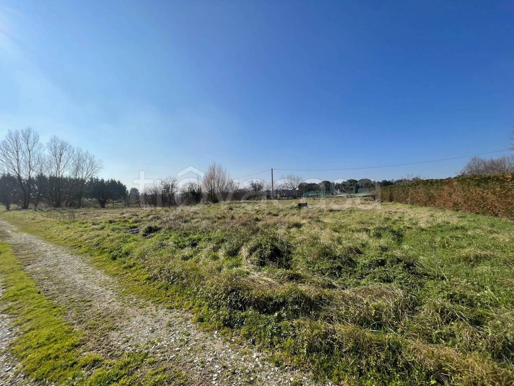 immagine annuncio 1 di 3