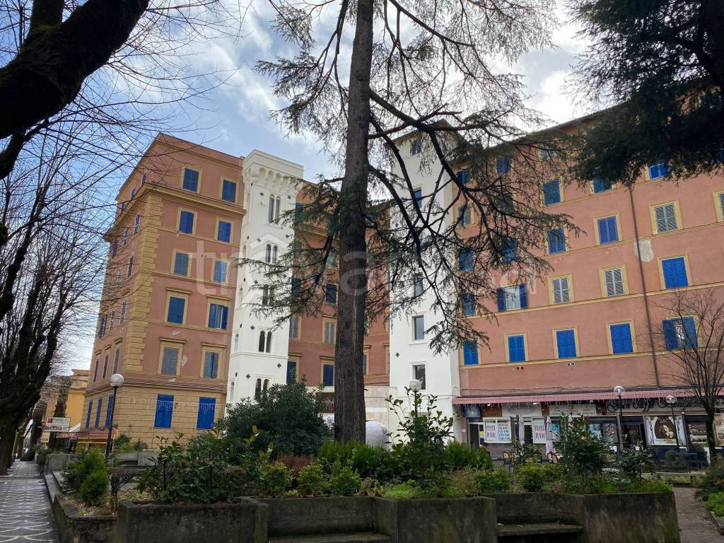 immagine annuncio 5 di 6