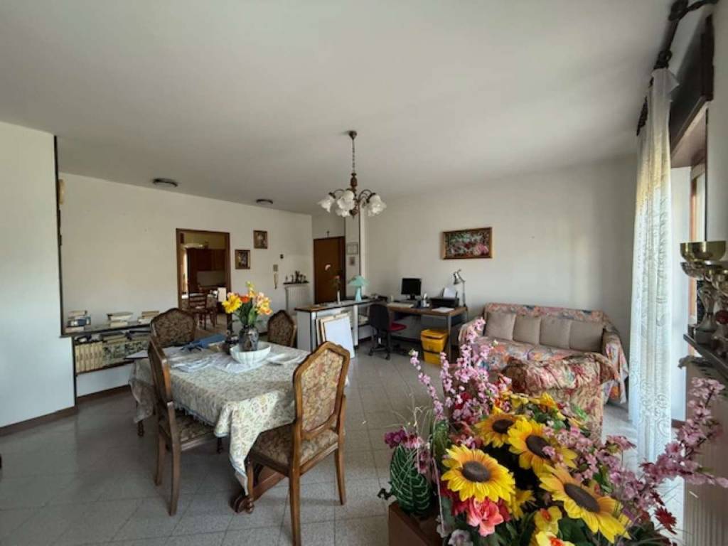 immagine annuncio 2 di 14