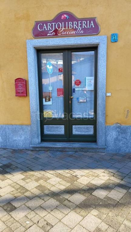 immagine annuncio 9 di 12
