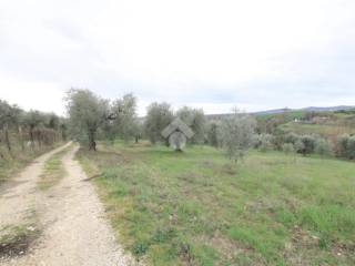 Terreno agricolo in vendita a montopoli di sabina via ternana