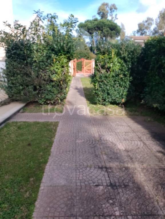 immagine annuncio 3 di 8
