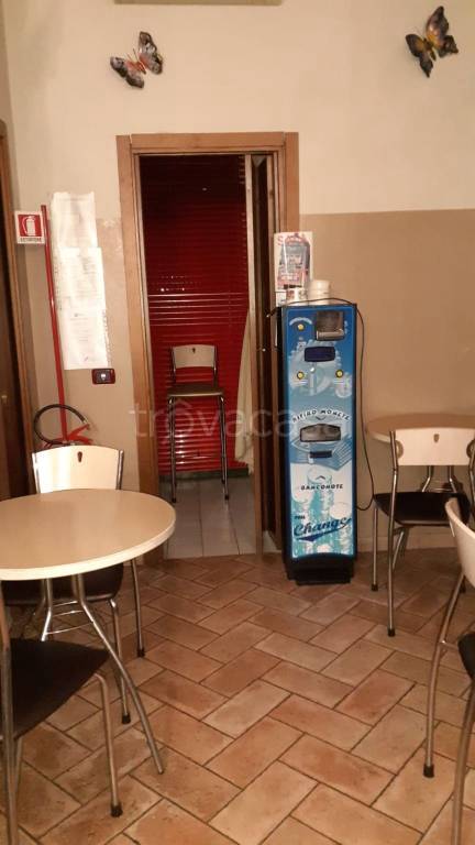 immagine annuncio 2 di 6