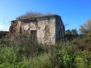 Terreno agricolo in vendita ad alghero strada vicinale san quirico, 12