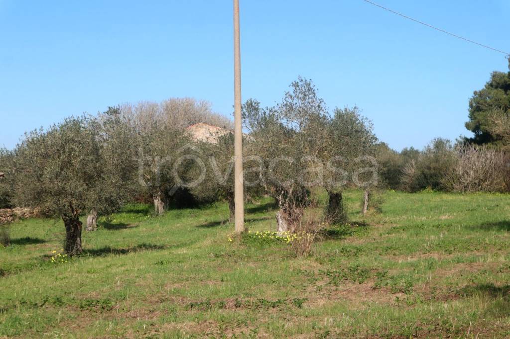 immagine annuncio 4 di 12