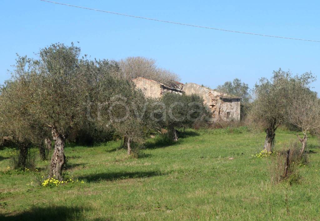 immagine annuncio 10 di 12