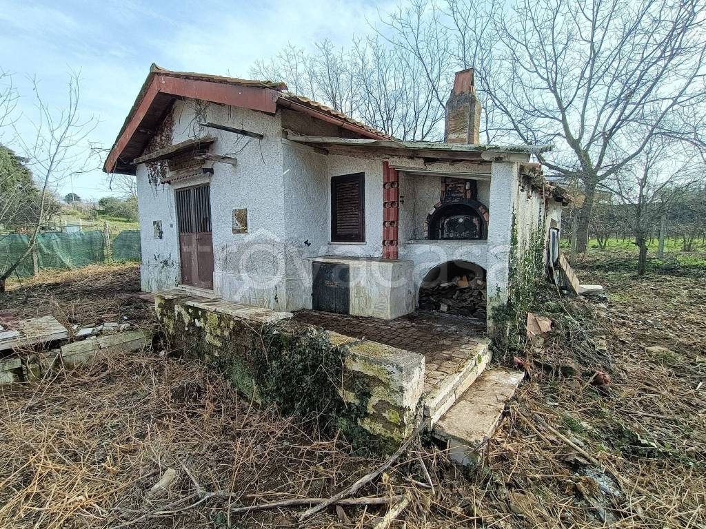 immagine annuncio 4 di 14