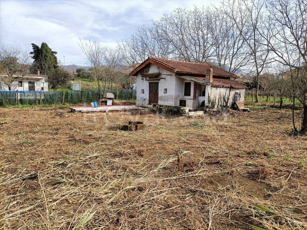 immagine annuncio 9 di 14
