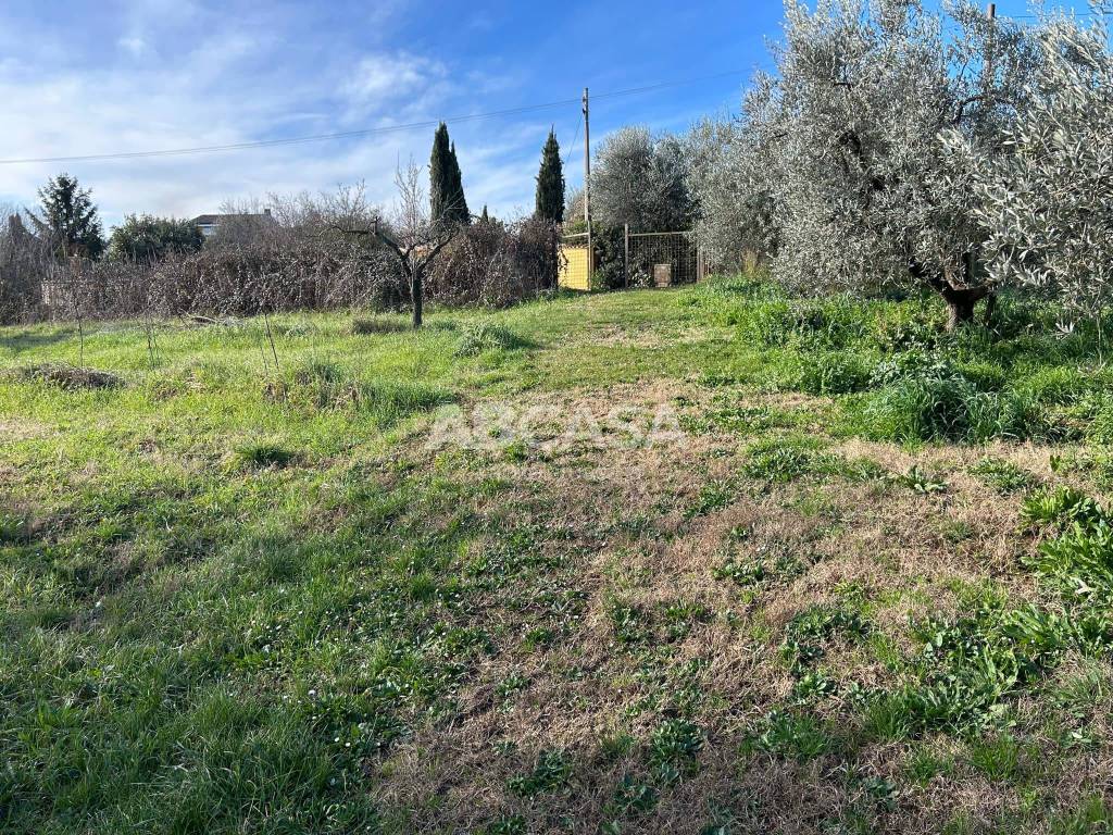 immagine annuncio 8 di 10