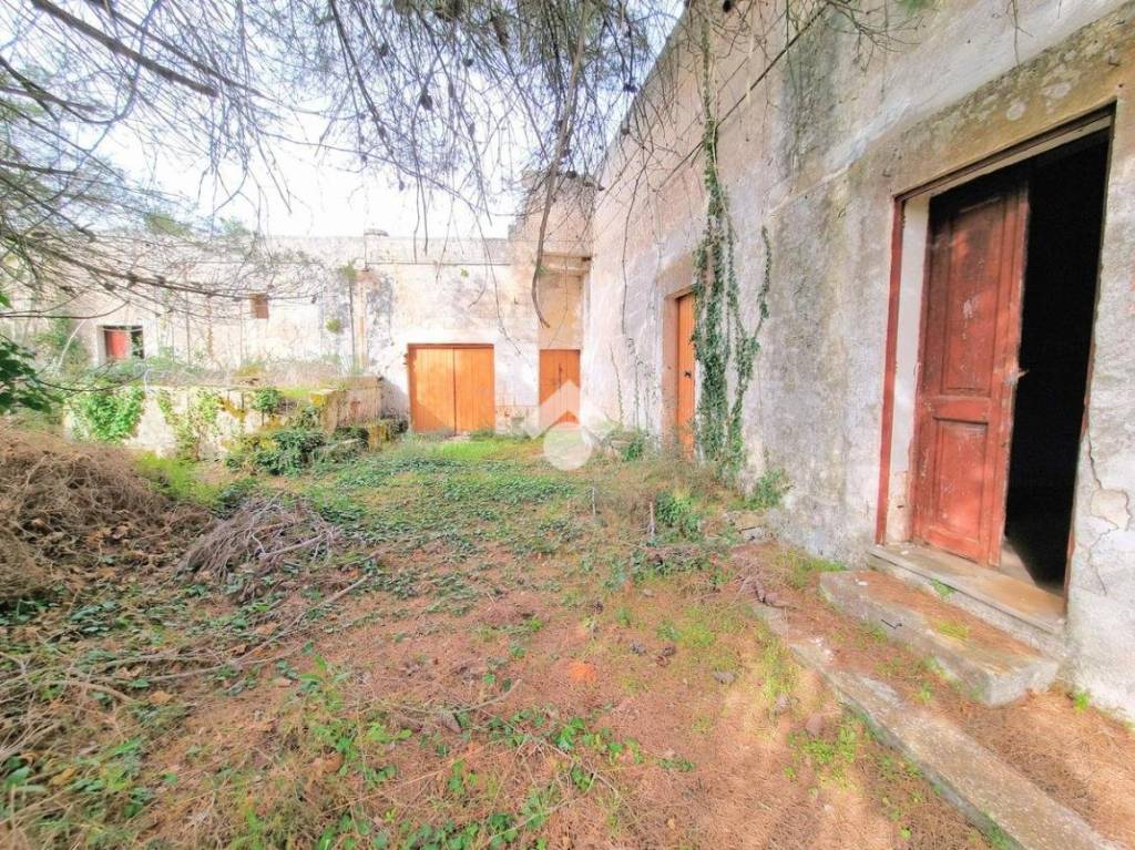 immagine annuncio 6 di 14