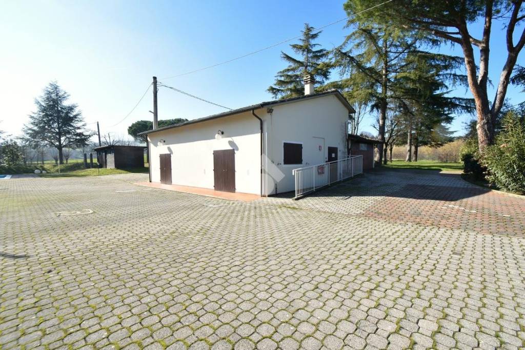 immagine annuncio 12 di 15