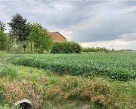 Terreno agricolo all'asta a lugo via canalvecchio