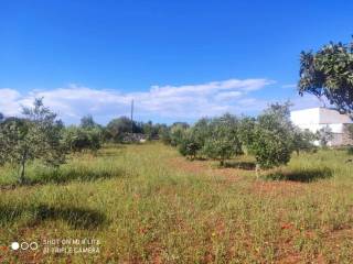 Terreno residenziale in vendita a morciano di leuca via murge