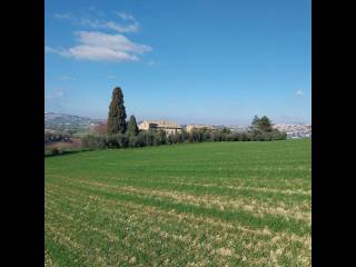 Casale in in vendita da privato a recanati contrada ricciola, 61