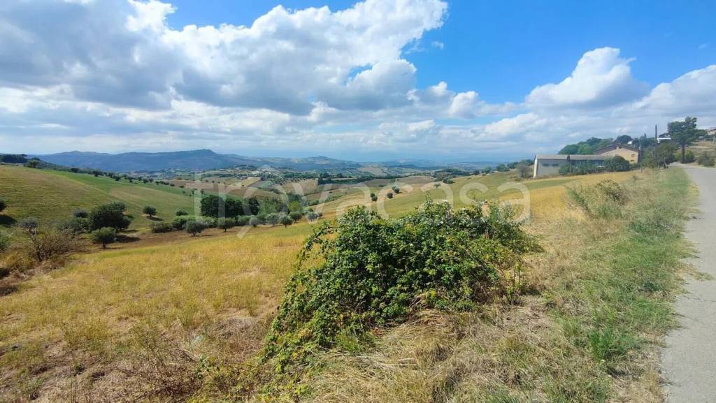 immagine annuncio 2 di 12