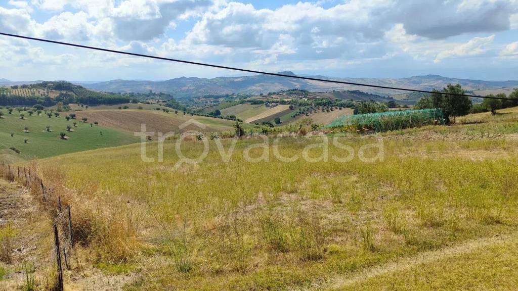 immagine annuncio 5 di 12