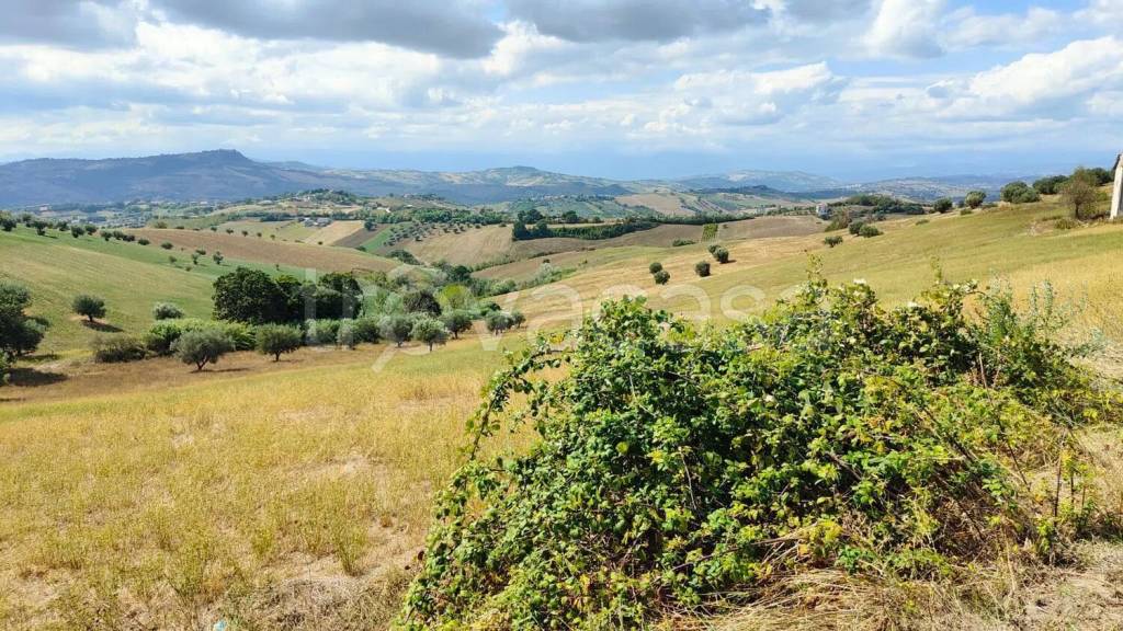 immagine annuncio 8 di 12